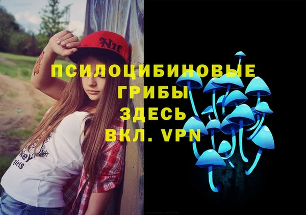 гашик Алексин