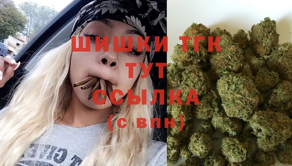 соль ск Абаза