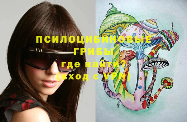 гашик Алексин