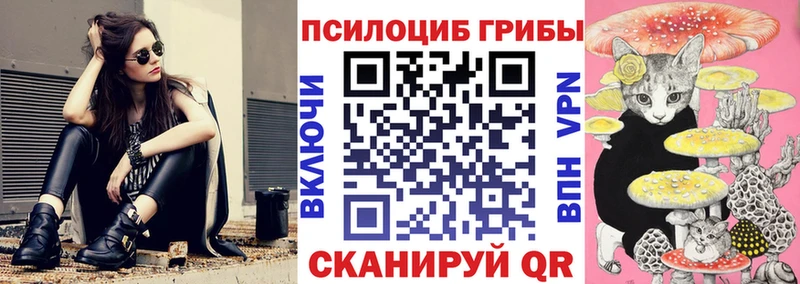 Галлюциногенные грибы прущие грибы хочу наркоту Дятьково