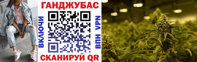 Конопля гибрид  Дятьково 